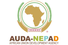 AUDA-NEPAD